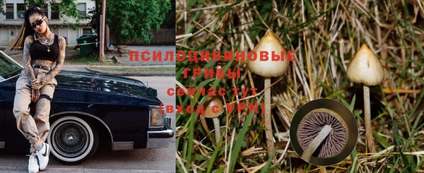 твердый Белоозёрский