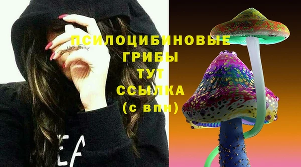 соль ск Бронницы