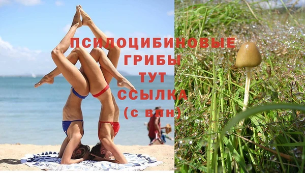 кокаин премиум Бородино