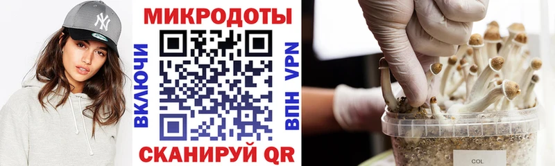 Галлюциногенные грибы GOLDEN TEACHER  Верхний Тагил 